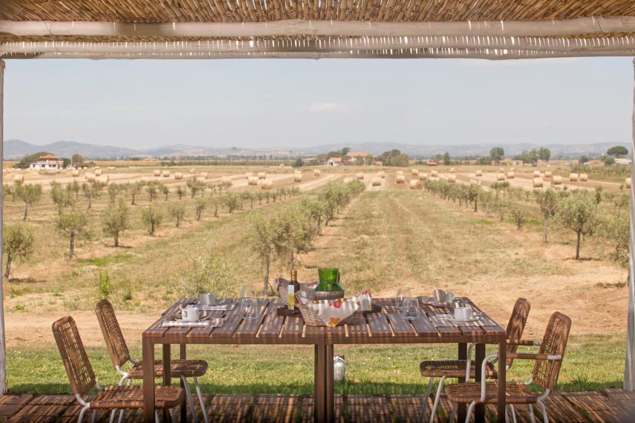 Casale Oliveta Villa Orbetello Eksteriør billede