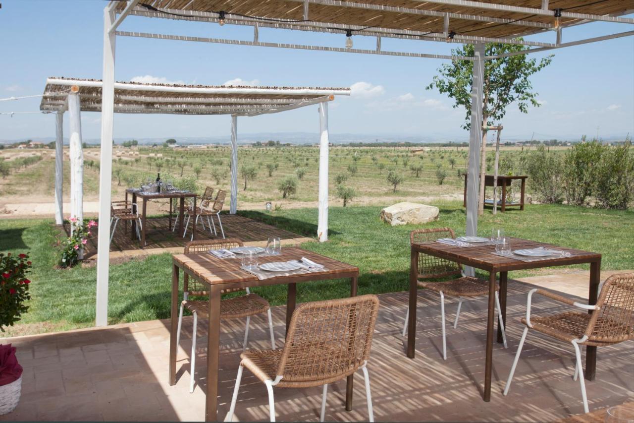 Casale Oliveta Villa Orbetello Eksteriør billede